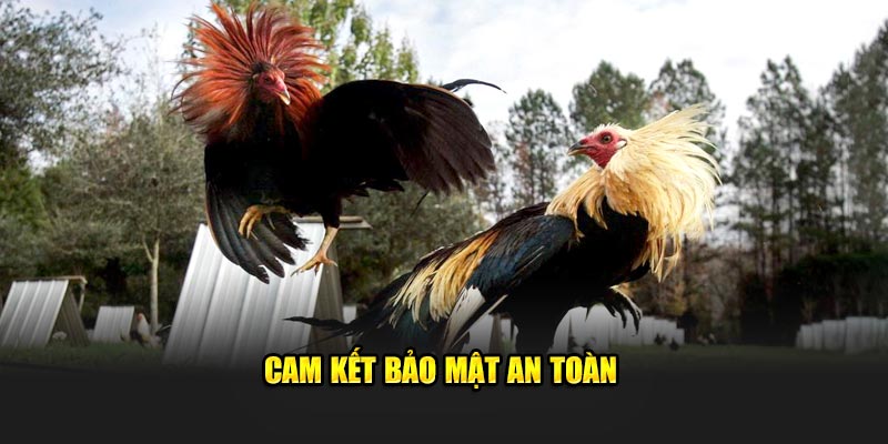 Cam kết bảo mật an toàn