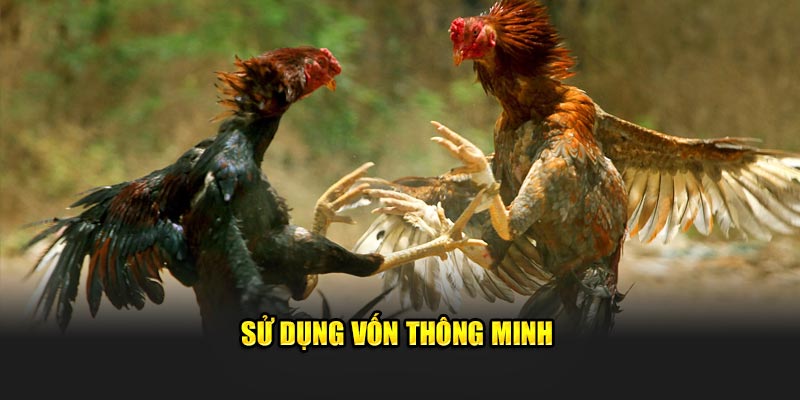 Sử dụng vốn thông minh